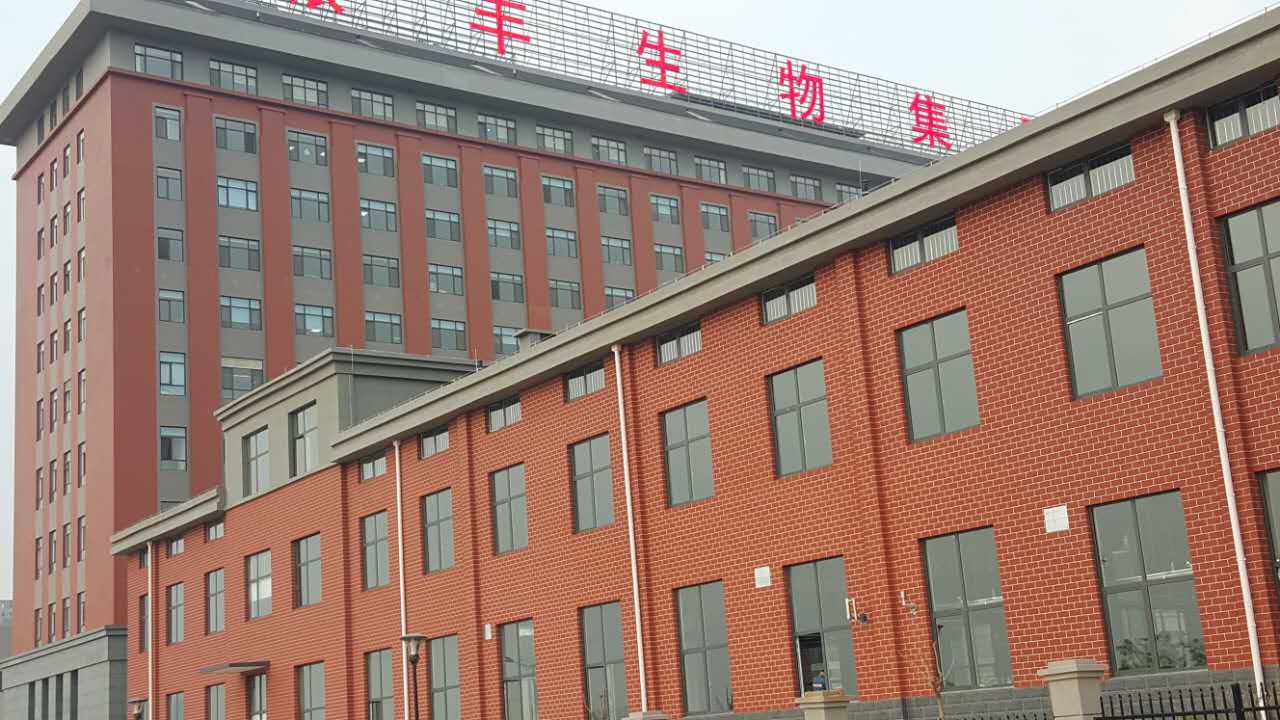 新佳真石漆,真石漆廠家