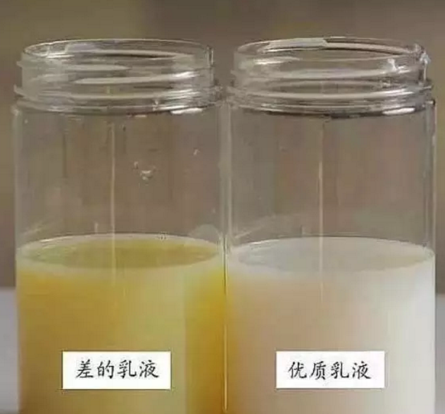 外墻真石漆價格,新佳涂料,真石漆價格
